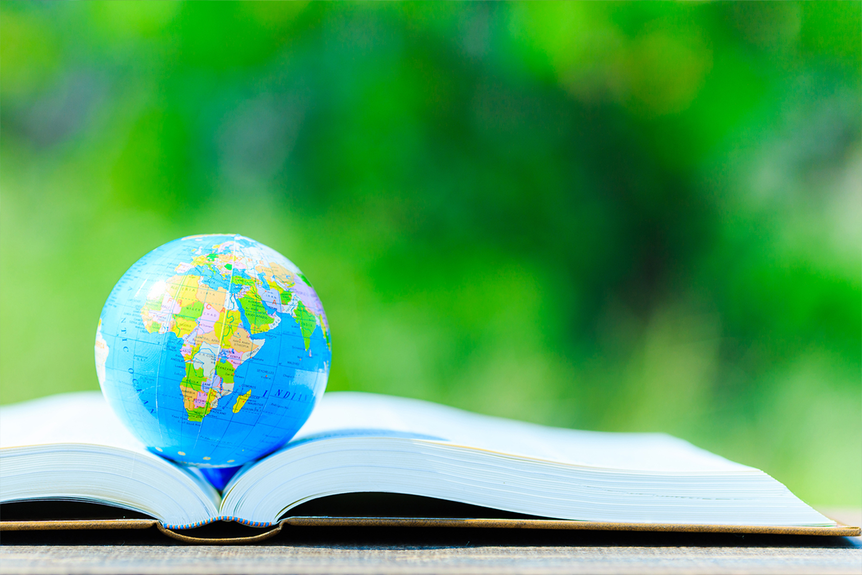 讀書不只讀課本：孩子需要的語言連接力